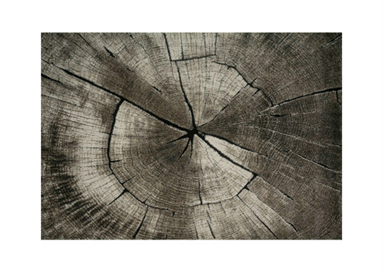Matto Ibiza Nature 160x230 cm