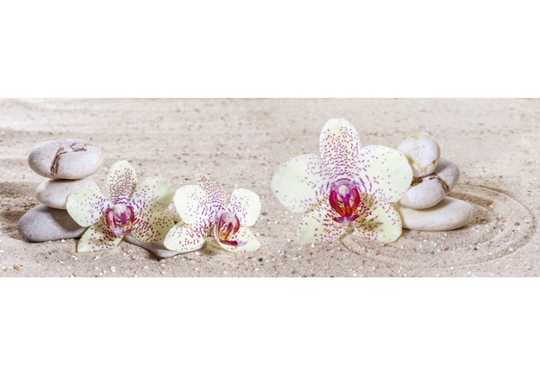 Keittiön välitila Zen garden 180x60 cm
