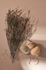 Pors Myrica gale