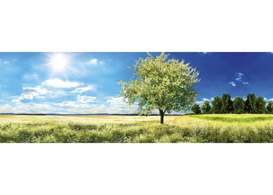 Keittiön välitila Blossom Tree 180x60 cm