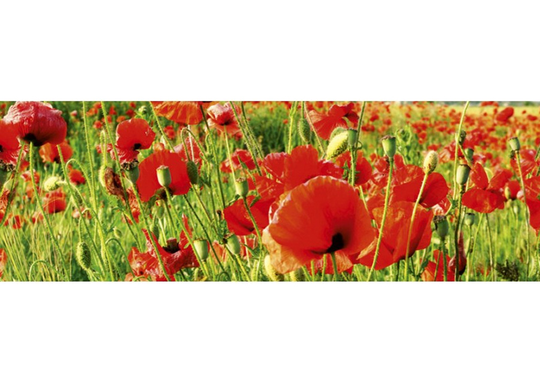 Keittiön välitila Red poppies 180x60 cm