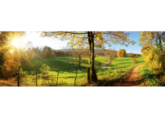Keittiön välitila Meadow 180x60 cm