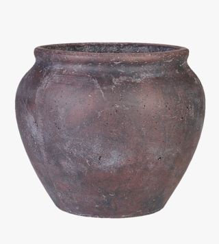 Morada kukkaruukku munakoiso