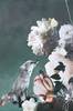 Juliste Haute couture 11