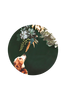 Taulu Pet Couture 1