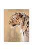 Taulu Bengal