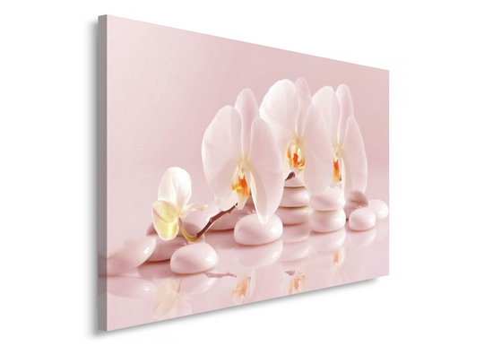 Taulu Orchid 50x70 cm