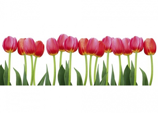 Keittiön välitila Bed of Tulips 260x60 cm
