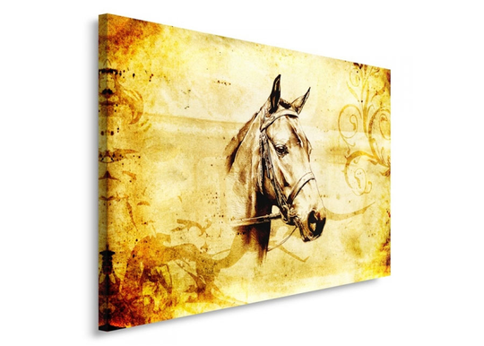 Taulu Horse head 80x120 cm