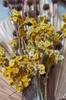 Juliste Bouquet