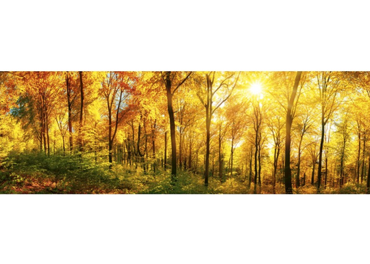Keittiön välitila Sunny forest 180x60 cm