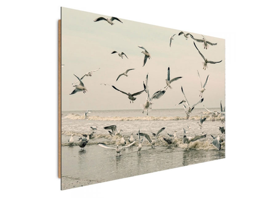 Taulu Kayaks 60x80 cm