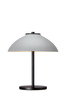 Seinävalaisin Vali
