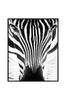 Taulu Photo Zebra Eyes