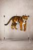 CATY CAT viskoosimatto 180x120 cm Musta/kulta