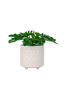 Kukkaruukku Ceramic