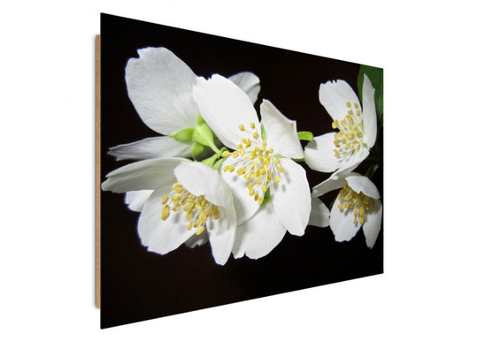 Taulu Flowering trees 16, 40x50 cm