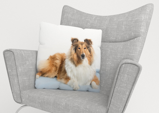 Koristetyynyliina Beautiful Collie 40x60 cm