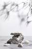 Juliste Sandstones