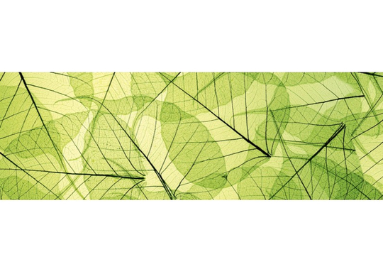 Keittiön välitila Leaf veins 260x60 cm