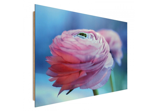 Taulu Peony Flowers 3D 98x68 cm