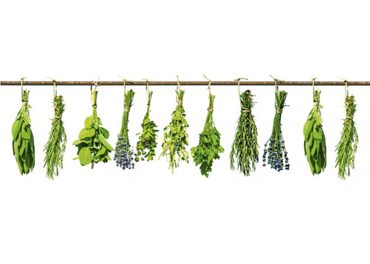 Keittiön välitila Herbs 350x60 cm