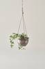 BIRK amppeliruukku, halkaisija 20 cm Ruskea/valkoinen